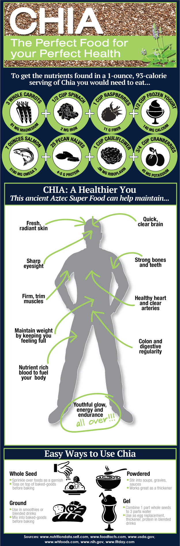 Who Invented the Chia Pet Vision Launch Media